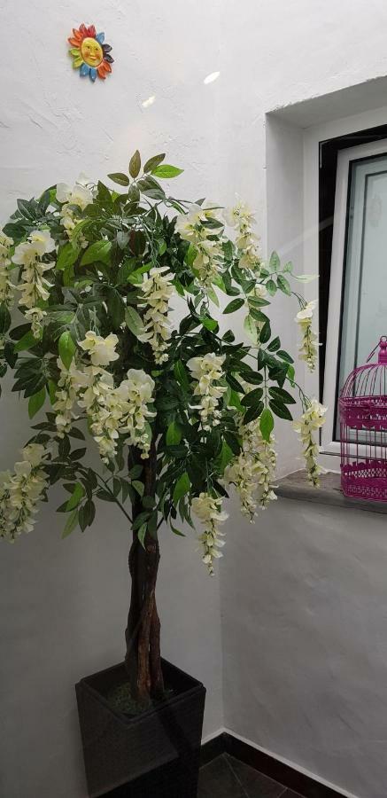 Charme De Monsaraz Villa Luaran gambar